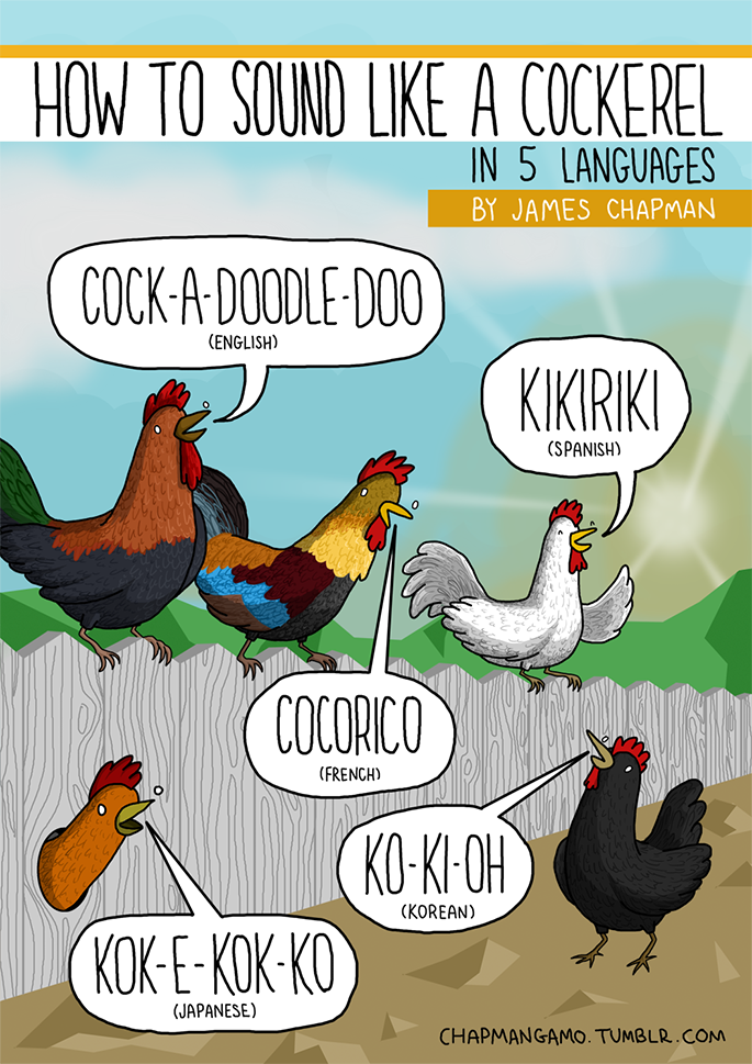 idiomas translation